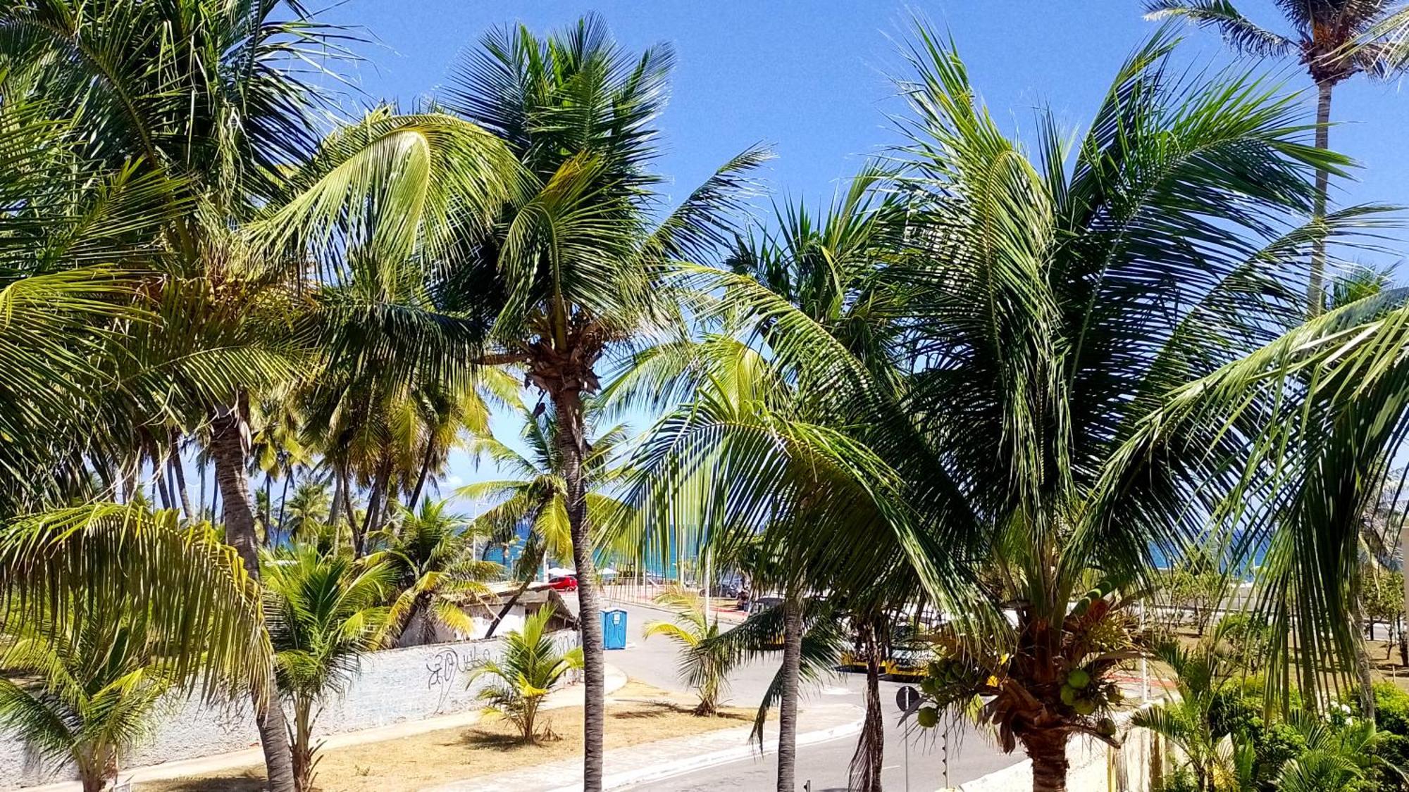 Farol Beach Suites Сальвадор Экстерьер фото